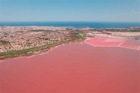 Salinas de Torrevieja