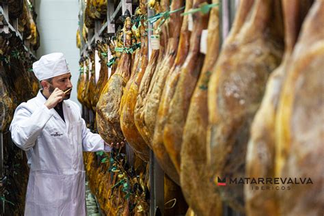 Diagrama del proceso de curación del jamón