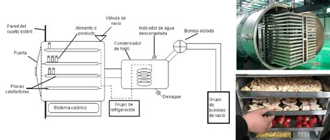 Equipo de liofilización para secado