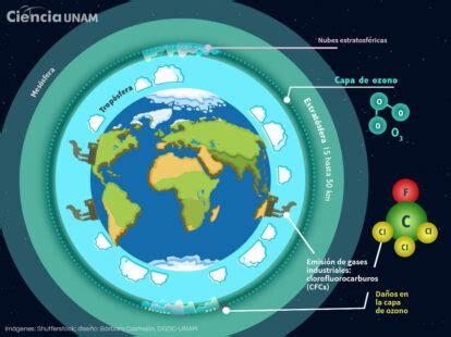 Diagrama de la acción del ozono sobre bacterias y virus