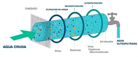 Infografía comparando diferentes tipos de membranas de ultrafiltración y sus capacidades de retención.