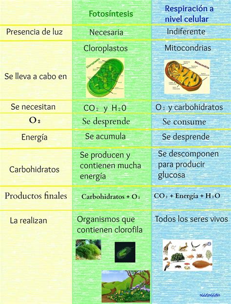 Diagrama comparando la resistencia a la respiración de diferentes tipos de mascarillas.