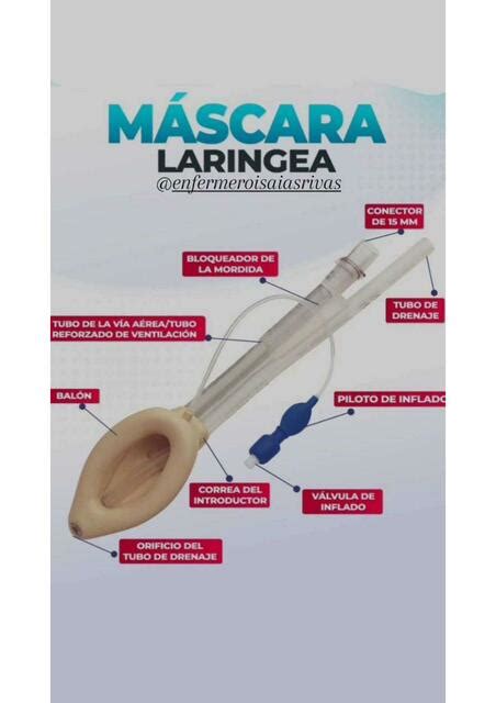 Anatomía de la Mascarilla Laríngea