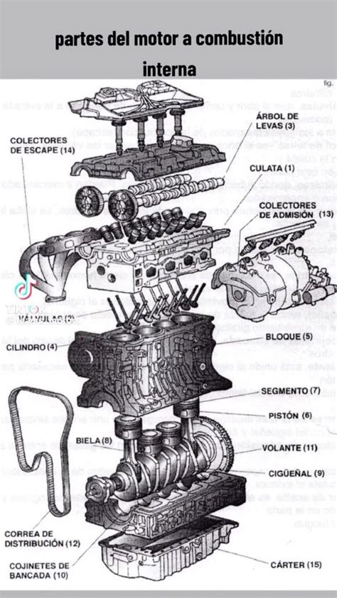 Diagrama de un motor de coche con zonas sensibles marcadas