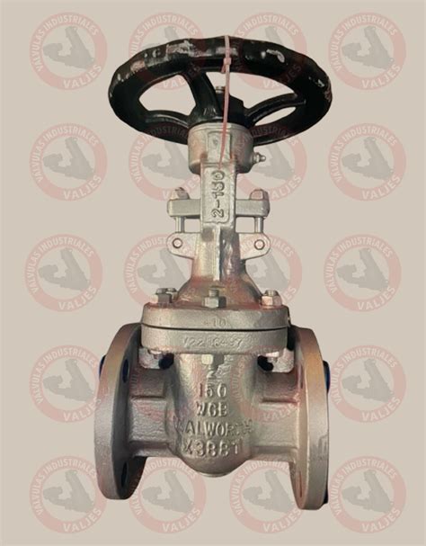 Válvula de compuerta eléctrica