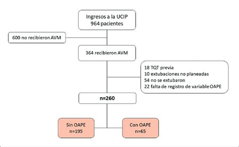 Diagrama de flujo de pacientes incluidos en el estudio