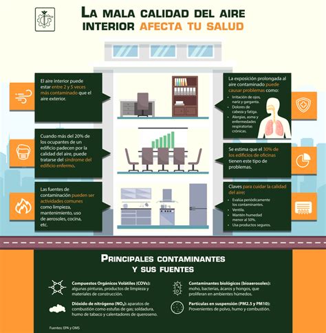 Infografía mostrando contaminantes del aire interior y su eliminación por plantas