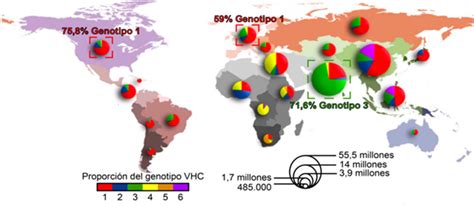 Gráfico de la prevalencia de los genotipos del VHC en EE.UU.