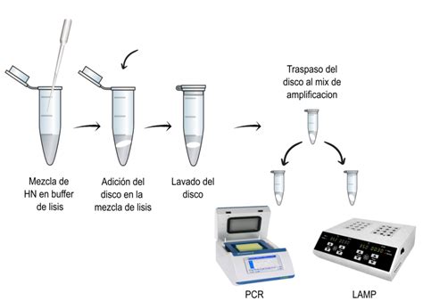 Imagen de un kit de purificación de ADN de gel