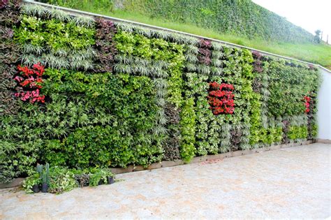 Imagen de un edificio con un muro verde o jardín vertical.