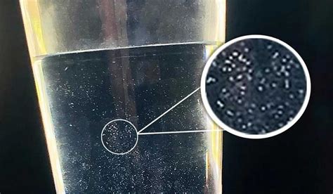 Partículas blancas flotando en un vaso de agua