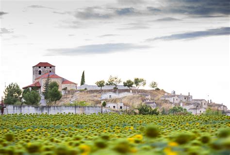 Paisaje de Moradillo de Roa con viñedos y la iglesia de San Pedro en la colina