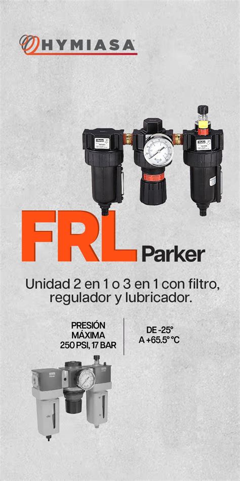 Gráfico de la importancia del mantenimiento de FRL