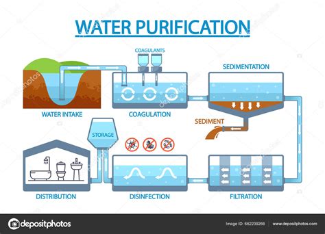 infografía de los pasos de purificación de agua