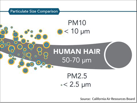 Comparativa gráfica de tamaño: cabello humano, PM10, PM 2.5