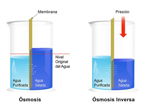 Gráfico comparativo de calidad de agua antes y después de la ósmosis inversa