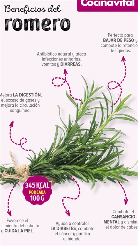 Composición nutricional de las hojas de romero