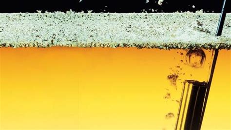 Velo de flor en una bota de vino