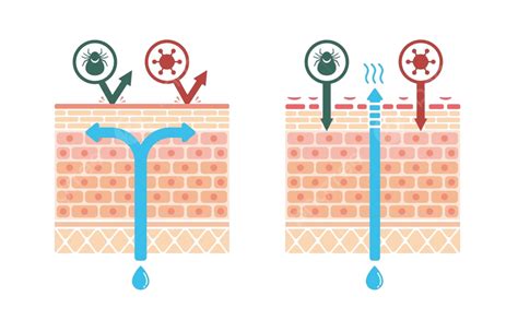 Ilustración comparando piel con y sin multimasking
