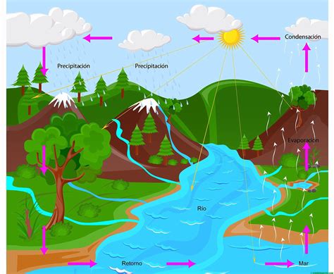 Diagrama mostrando el ciclo del agua y la salinidad