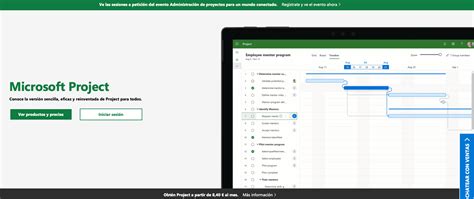 Captura de pantalla de filtros en Microsoft Project