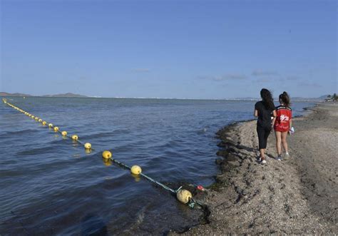 Red antimedusas en una playa