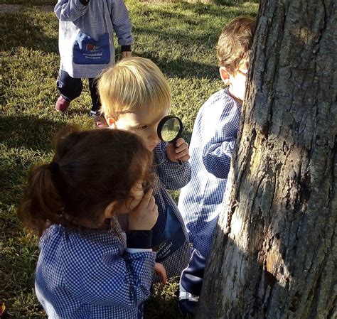 Niños observando insectos en un parque