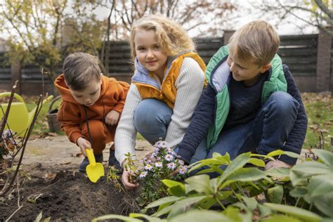 Niños trabajando en un huerto ecológico