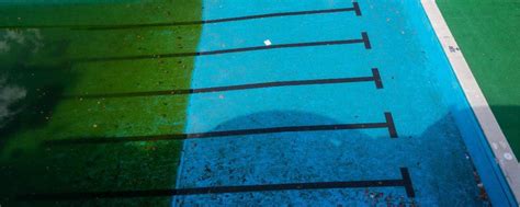 Crecimiento de algas en piscina