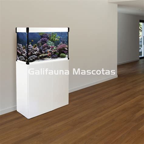 Acuario de 100 litros con filtro de mochila