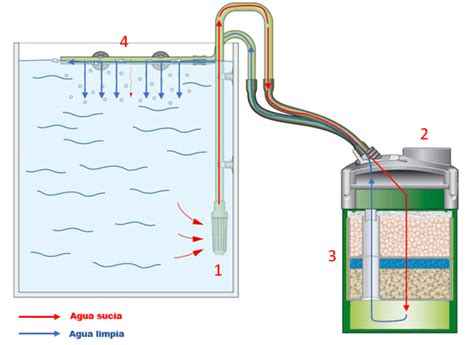 Diagrama de un filtro de acuario con sus diferentes etapas