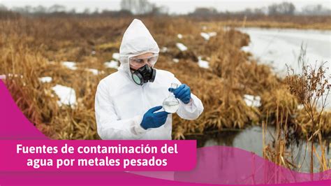 Diagrama mostrando las fuentes de metales pesados en el agua