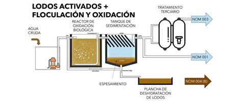 Diagrama esquemático de un proceso de lodos activados