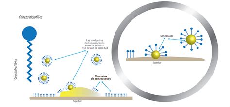 Estructura molecular de un tensioactivo