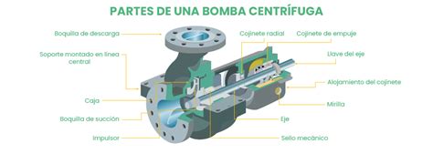 Primer plano de la tapa de la bomba de un lavavajillas abierta