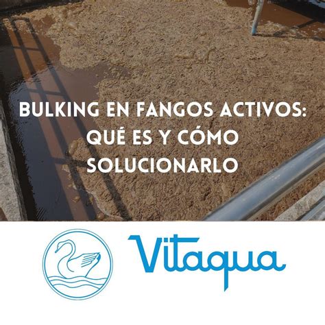 microorganismos en fangos activos