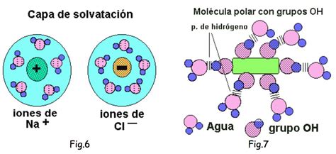Ilustración mostrando cómo las moléculas de agua polar rodean y disuelven iones de sal.