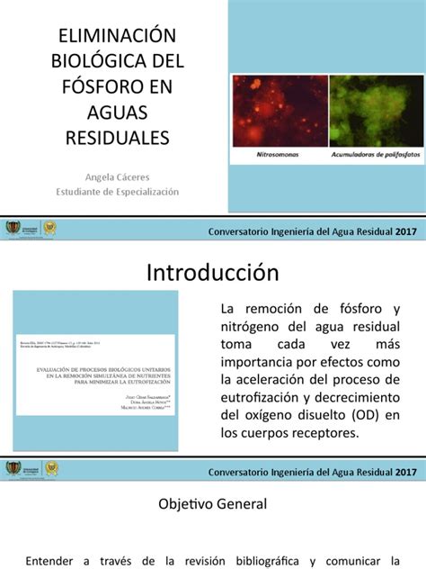 Diagrama conceptual del proceso EBPR (Eliminación Biológica Mejorada de Fósforo)