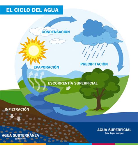 Diagrama del ciclo del agua y su tratamiento