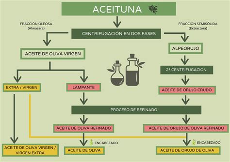 Proceso de extracción de aceite de oliva y subproductos