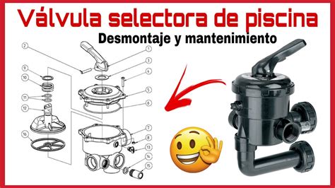 Ilustración de una válvula selectora de piscina