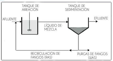 Tanque de aireación en un sistema de lodos activados