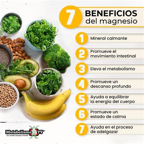 Infografía sobre los beneficios del magnesio