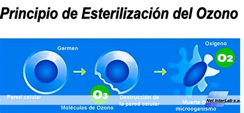 Generador de ozono en funcionamiento