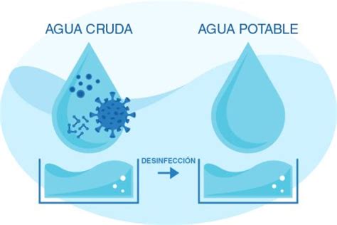 Diagrama ilustrando el proceso de desinfección y conservación del agua con Micropur Forte