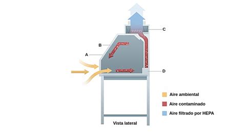 Diagrama de flujo de aire en una cabina de bioseguridad con filtros HEPA