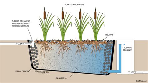 Ilustración de un biofiltro con grava volcánica
