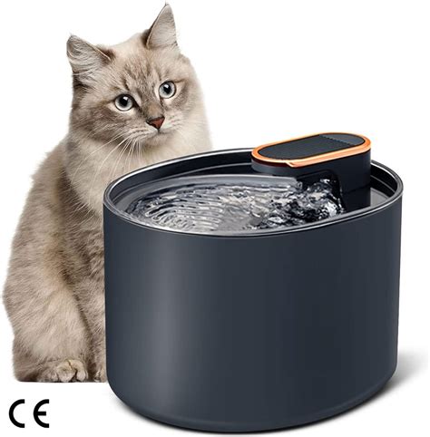 Comparativa de tipos de fuentes de agua para gatos