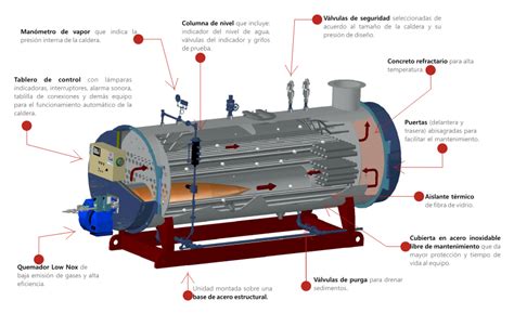 Diagrama de una caldera de vapor con componentes internos