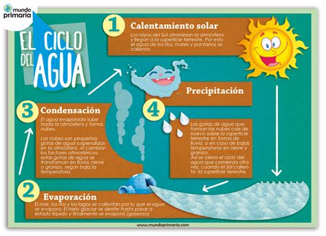 Infografía sobre el ciclo del agua y su potabilización